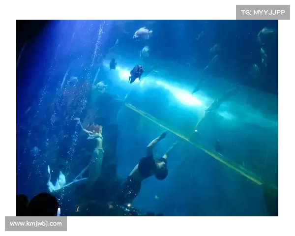 海洋生存2:探索蓝色未知,逐浪而生 海洋生存2:探索蓝色未知,逐浪而生