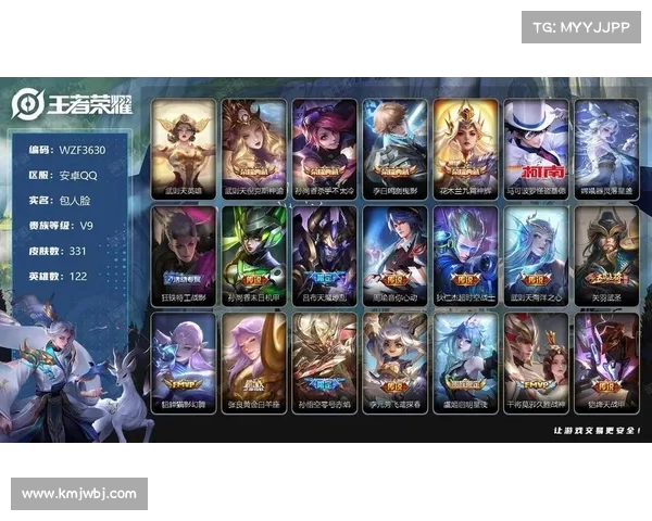 王者荣耀:独享全皮肤,畅玩单机 王者荣耀:独享全皮肤,畅玩单机