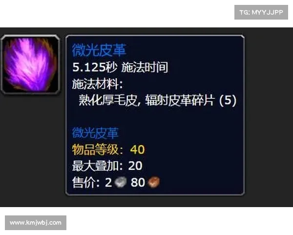 魔兽世界怀旧服：制皮大师的升级之路